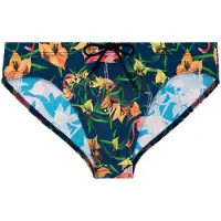 Hom Maillot de bain ' Flamingo ' bleu marine / vert / orange / rouge