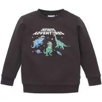 Tom Tailor 1039183 Glow In The Dark Sweatshirt Gris 116-122 cm Garçon