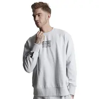 Superdry Studios Rcycl City Sweatshirt Gris M-L