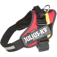 JULIUS K-9 Idc Power Dog Harness Rouge M-0