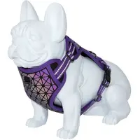 Freedog Boreal Dog Harness Multicolore 15 mm x 34-63 cm