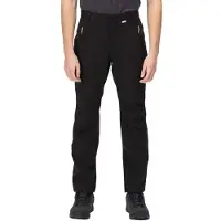 Regatta Dayhike Iv Pants Noir 38 / Regular Homme
