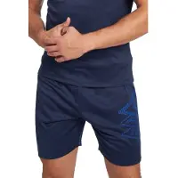 Umbro Pro Training Active Poly Shorts Bleu M Homme