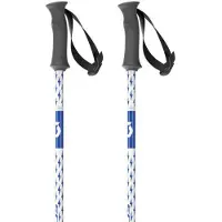 SCOTT Element Junior Poles Argenté 110 cm Enfants