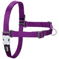 Red Dingo Harnais pour Perro 59-84 cm Morado M/L