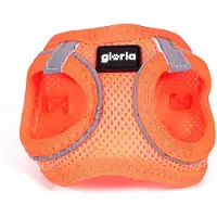 Big Buy Cooking Harnais pour chien gloria trek star 24-26 cm 28-28.6 cm orange xxs