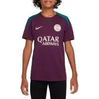 Nike Tenue de jeu Dri-Fit Strike à manches courtes pour jeunes du Paris Saint-Germain, couleur Bordeaux, Geode, Teal et Guava Ice, taille L