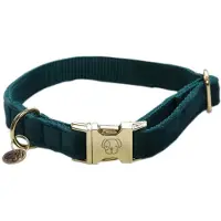 Kentucky Velvet Dog Collar Vert 45-75 cm
