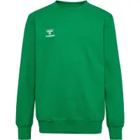 Hummel Sweat de sport 'GO 2.0' vert gazon / blanc