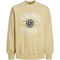 Jack & Jones Sweat-shirt | M | male