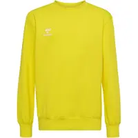 Hummel Sweat de sport 'GO 2.0' jaune / blanc