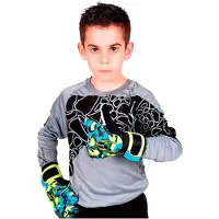 Ho Soccer Furious Long Sleeve T-shirt Gris 6 Years Garçon