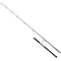 Akami Kikai Popping Popping Rod Gris 2.56 m / 80-260 g