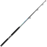 Sugoi Estima Trolling Rod Argenté 1.85 m / 15-50 Lbs