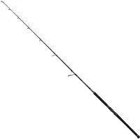 Penn Marine Brigade Popping Spinning Rod Argenté 2.44 m / 20-150 g