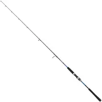Penn Retaliate X Light Jigging Rod Argenté 1.83 m / 250 g