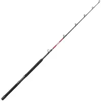 Penn Warfare Light Trolling (1-tlg)