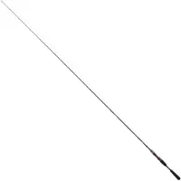 Daiwa Steez Ags Baitcasting Rod Noir 2.21 m / 10-35 g