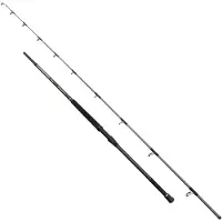 Penn Regiment Iv Uptide Spinning Rod Argenté 3.04 m / 70 -300 g