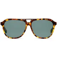 Skull Rider Lunettes de soleil Stephen James Marron Hommes Marron Taille unique