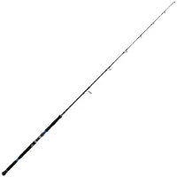 Xzoga Takadum-pi Spinning Rod Argenté 2.28 m / 380 g