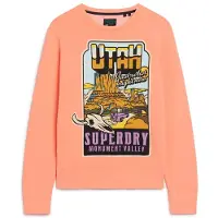Superdry Neon Travel Loose Sweatshirt Orange S Homme