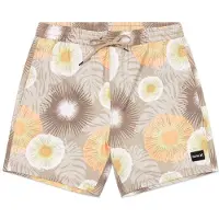 Hurley Short de bain Cannonball Volley 17'' Vert S Hommes Vert S