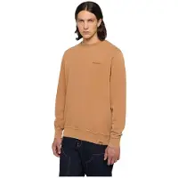 Dickies Plentywood Sweatshirt Marron S Homme