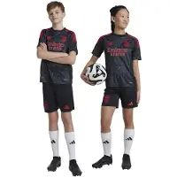 Adidas Benfica 24/25 Away Junior Short Sleeve T-shirt Noir 11-12 Years Enfants