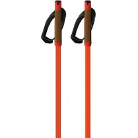 Fischer Storm Gtx M Poles Orange 170 cm