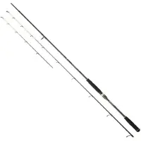 Daiwa Powermesh Qb Bottom Shipping Rod Argenté 3.10 m / 20-120 g