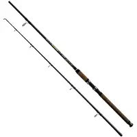 Wizard Phantom Catfish Rod Doré 3.00 m / 200-500 g