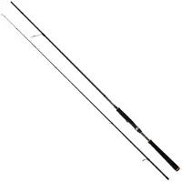 Cinnetic Raycast Xbr Sea Bass Light Game Spinning Rod Noir 3.60 m / 20-50 g
