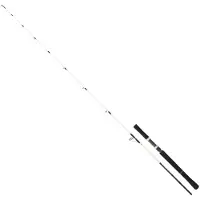 Daiwa Saltist Off Shore Jigging Rod Noir 1.65 m / 100-300 g