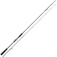Daiwa Tournament Ags Spinning Rod Bleu 2.44 m / 14-42 g