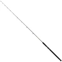 Penn Regiment Iii Sld Carbon Boat Spinning Rod Noir 2.41 m / 20-30 g