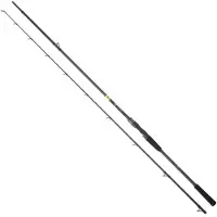 Daiwa Prorex E Giant Lakes Baitcasting Rod Argenté 2.59 m / 80-180 g
