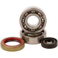 Hotrods Ktm 50 Sx 09-12 Crank Shaft Bearing Kit Argenté