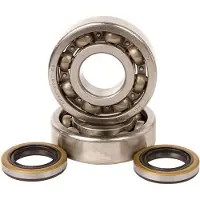 Hotrods Kawasaki Kx 125 80-81 Crank Shaft Bearing Kit Argenté