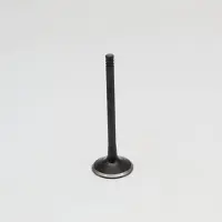 ProX Sea-doo Gtx-4tec ´03-09 + Rxp/rxt ´ Exhaust Valve Argenté
