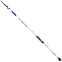 Tubertini Boater Carpfishing Rod Argenté 3.00 m / 200 g
