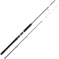 Cinnetic Sky Line Tanera Jigging Rod Argenté 2.40 m / 160 g