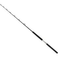 Daiwa Sealine X Slxtr5080agbf Trolling Rod Argenté 1.75 m / 100 Lbs