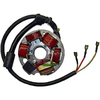 Sgr Stator 6 pôles avec plaque pour PIAGGIO