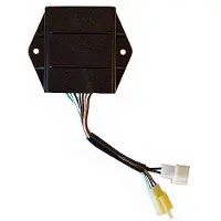 Sgr 4174411 Ecu Kit Doré