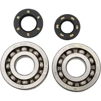 Hotrods Kawasaki 2002-2007 Kx250 Crank Shaft Bearing&seal Kit Argenté