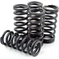 Dp Brakes Hds74-4 Kawasaki Kx85/kx80 Clutch Spring Kit 4 Units Argenté
