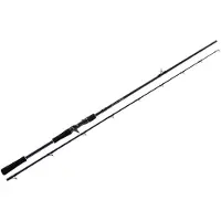 Molix Fioretto Trofeo Baitcasting Rod 2 Sections Argenté 2.59 m / 40-80 Lbs