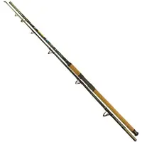 Wizard Shadow Catfish Rod Doré 2.90 m / 700-900 g