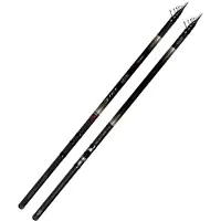 Colmic Foce Wr T8000 Fuji Alconite Bolognese Rod Argenté 10.00 m / 20 g